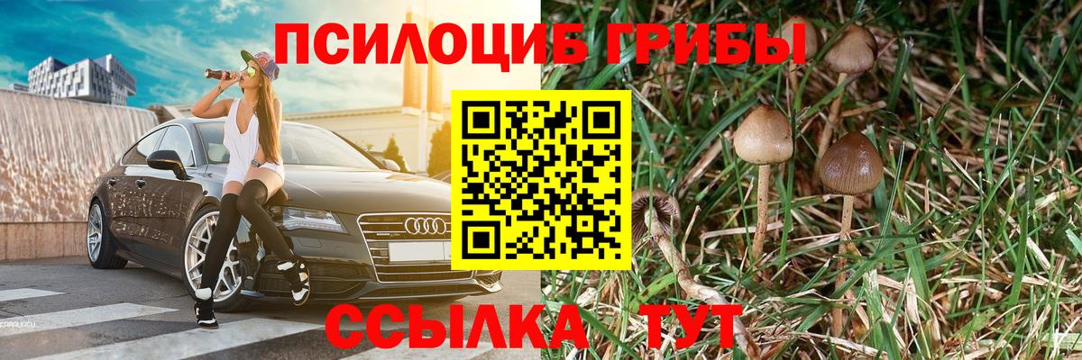 Галлюциногенные грибы Psilocybe  Вход с VPN  Миасс 