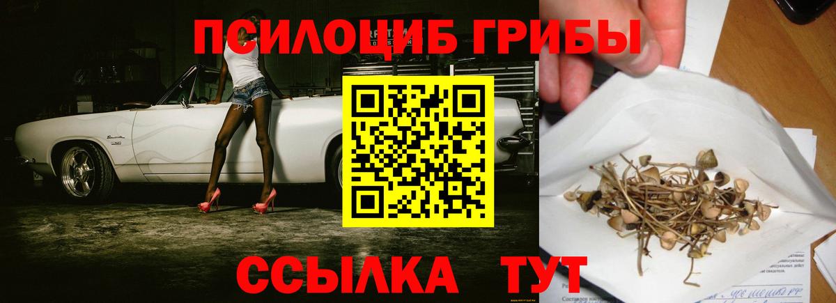 Псилоцибиновые грибы Миасс